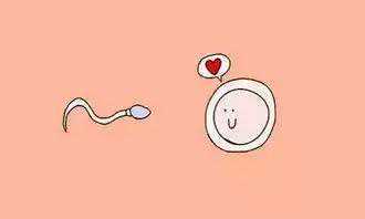 供卵代怀妈妈的艰苦历程（一）,正规代孕结构电话，代孕辅助生殖中心